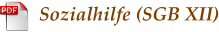 Sozialhilfe (SGB XII)